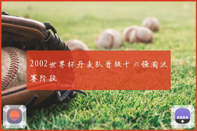 2002世界杯丹麦队晋级十六强淘汰赛阶段