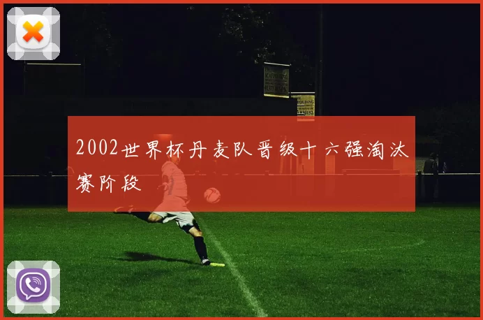 2002世界杯丹麦队晋级十六强淘汰赛阶段