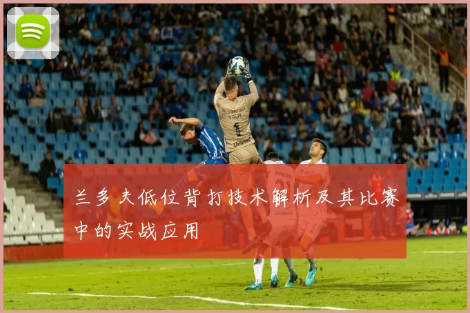 兰多夫低位背打技术解析及其比赛中的实战应用