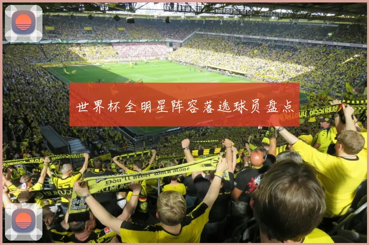 世界杯全明星阵容落选球员盘点