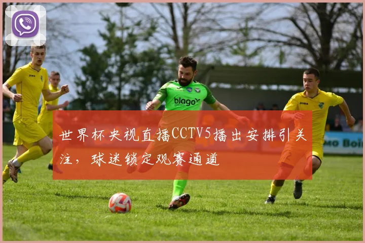 世界杯央视直播CCTV5播出安排引关注,球迷锁定观赛通道