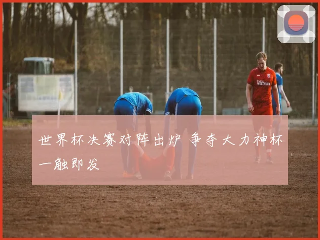 世界杯决赛对阵出炉 争夺大力神杯一触即发