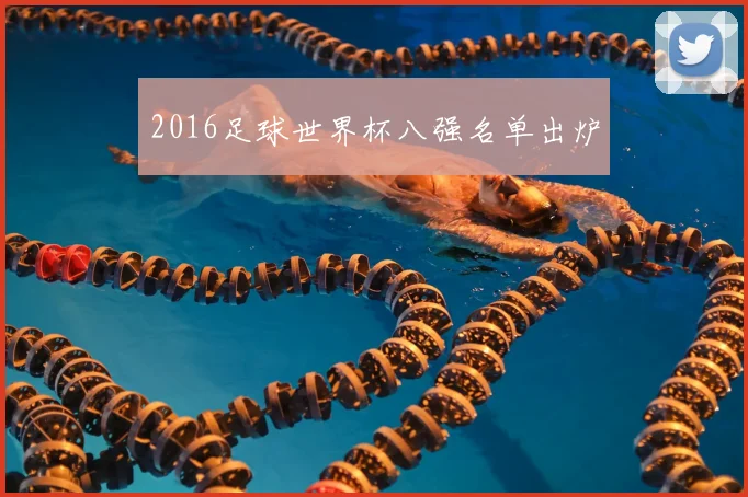 2016足球世界杯八强名单出炉